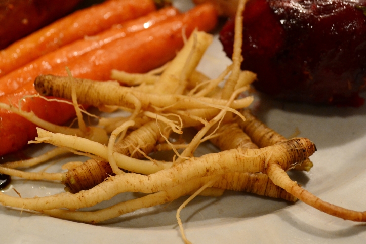 Genetically it's believed that Wild Carrot is the direct progenitor to our modern Carrot.